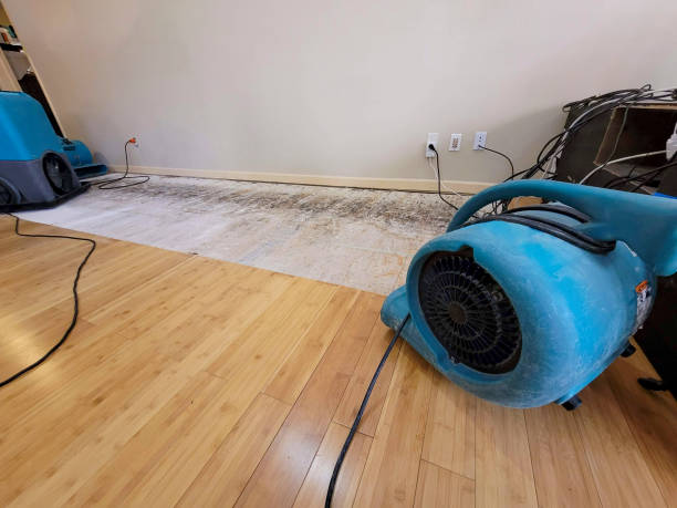 Professional Sewage Cleanup technician working in Telford, PA